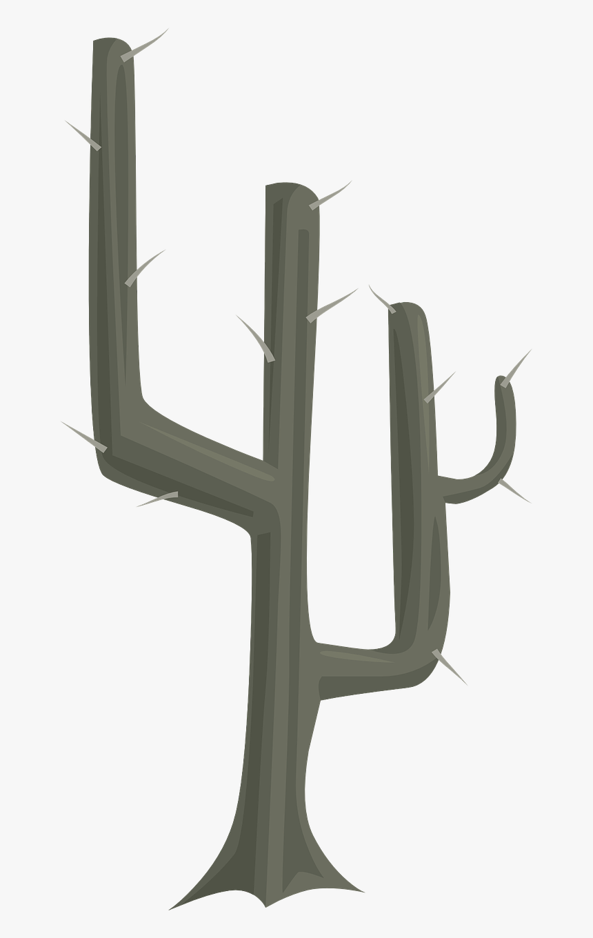 Cactus, HD Png Download, Free Download