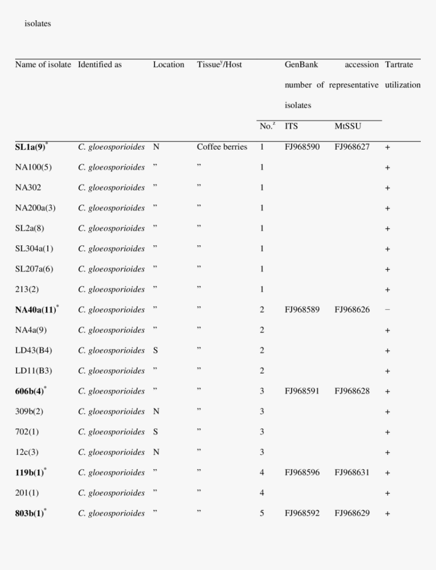 Document, HD Png Download, Free Download