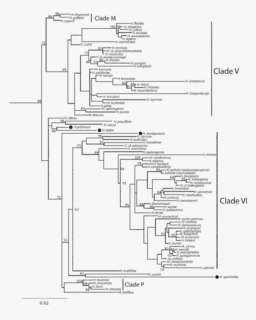 Diagram, HD Png Download, Free Download