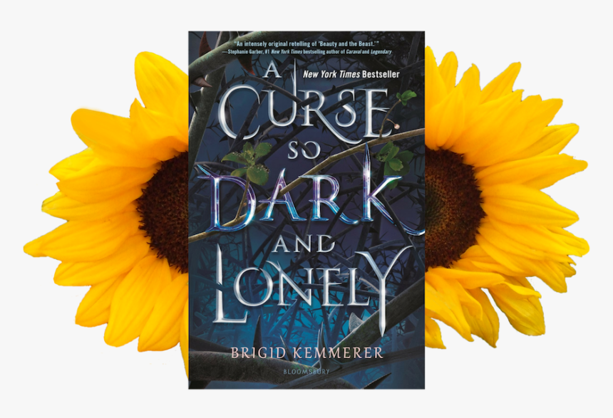 A Curse So Dark And Lonely - Flowers Png Sun, Transparent Png, Free Download