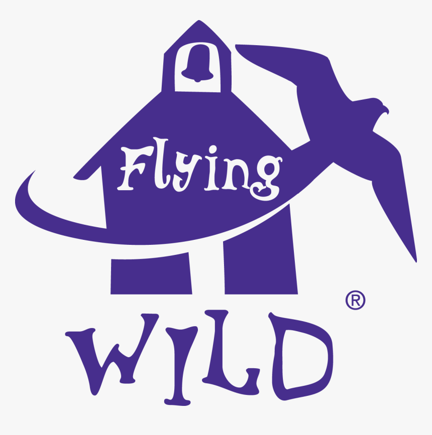 Flying wild. Flying Home. Park wildness logo. Flying logo.