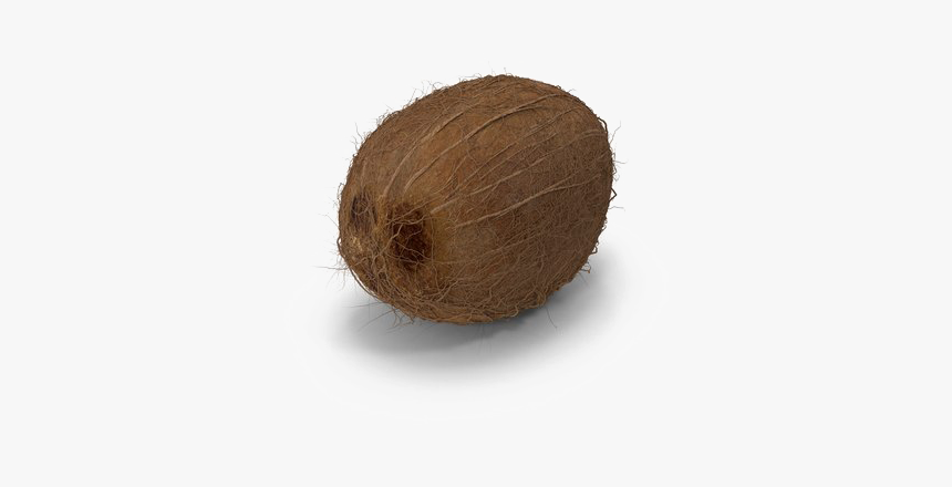 Coconut Png Image Hd - Wood, Transparent Png, Free Download