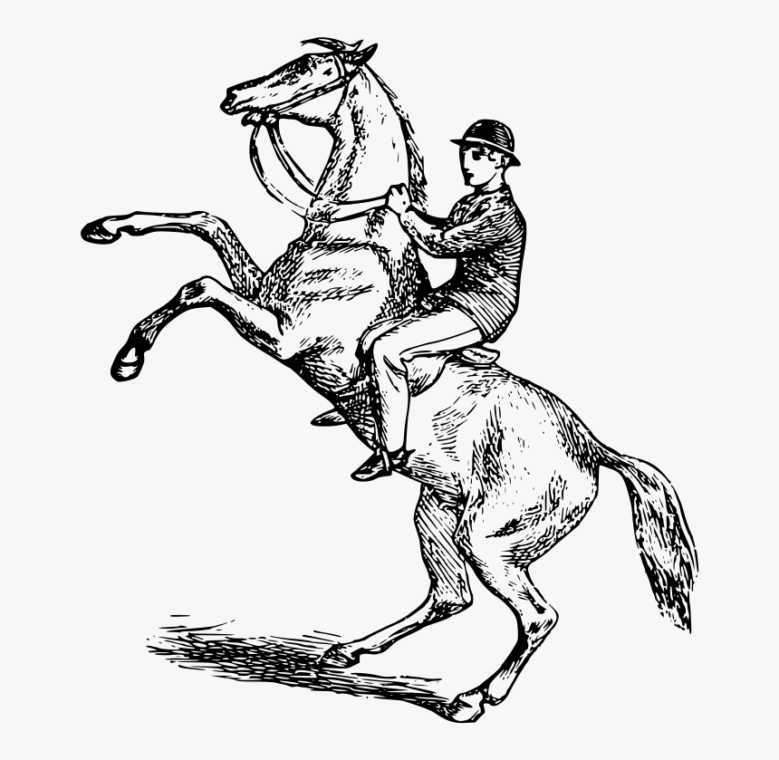 Free Clip Art - Horse Riding Clip Art, HD Png Download, Free Download