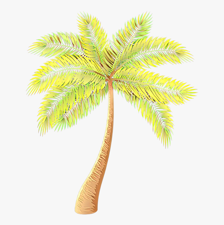 Asian Palmyra Palm Date Palm Palm Trees Coconut Plants - Palm Treefor Logos, HD Png Download, Free Download