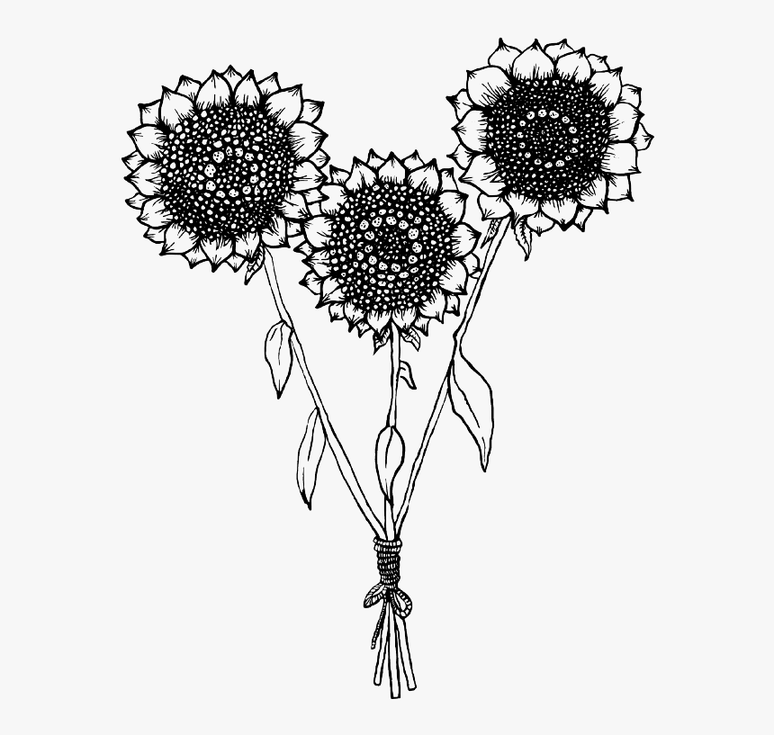 Shf Logo 2 B&w - Sunflower B And W, HD Png Download, Free Download