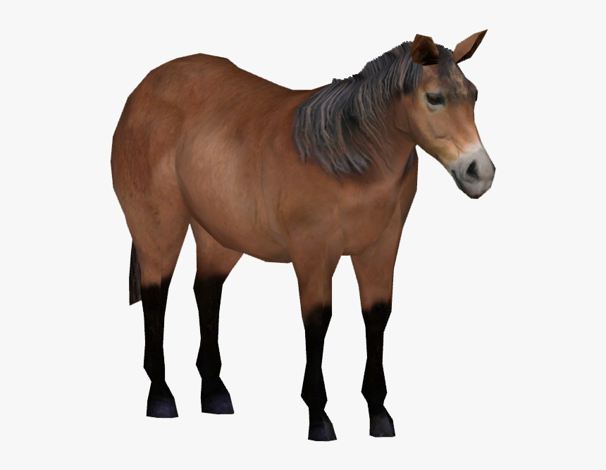 Exmoor Pony - Sorrel, HD Png Download, Free Download