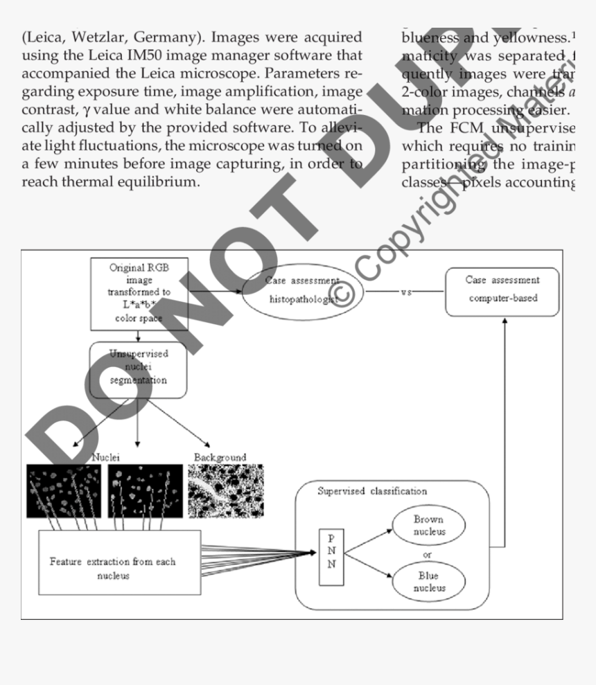 Diagram, HD Png Download, Free Download