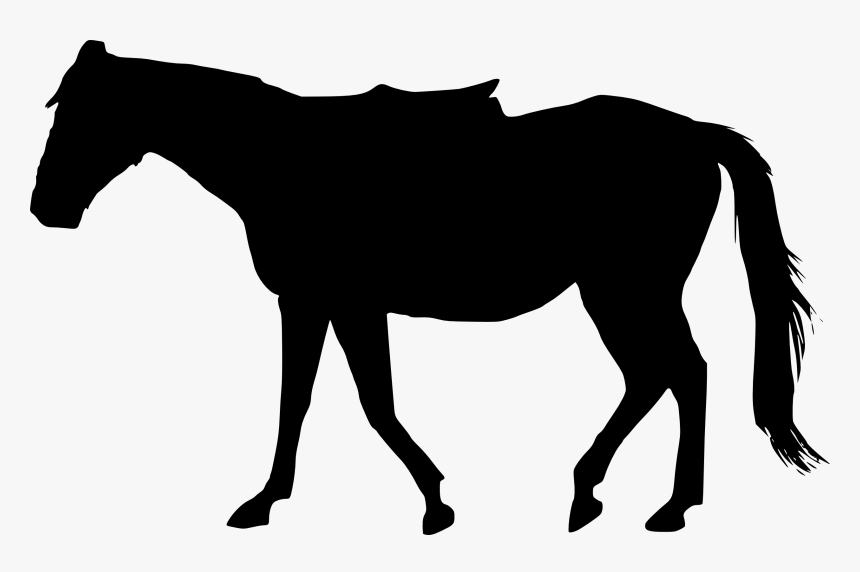 5 Horse Silhouette - Transparent Background Horse Silhouette Png, Png Download, Free Download