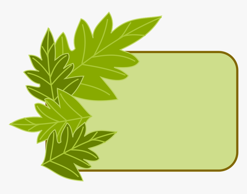 Border, Green, Leaves, Frame, Eco - Frame Border Herbs, HD Png Download, Free Download