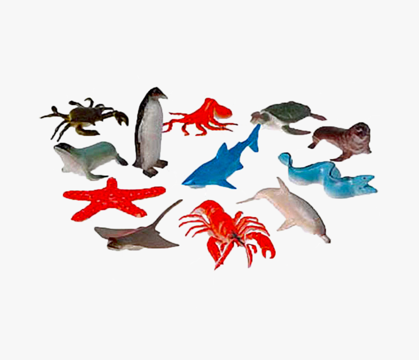 Sea Animals"

 
 Data Rimg="lazy"
 Data Rimg Scale="1"
 - Sea Animals, HD Png Download, Free Download