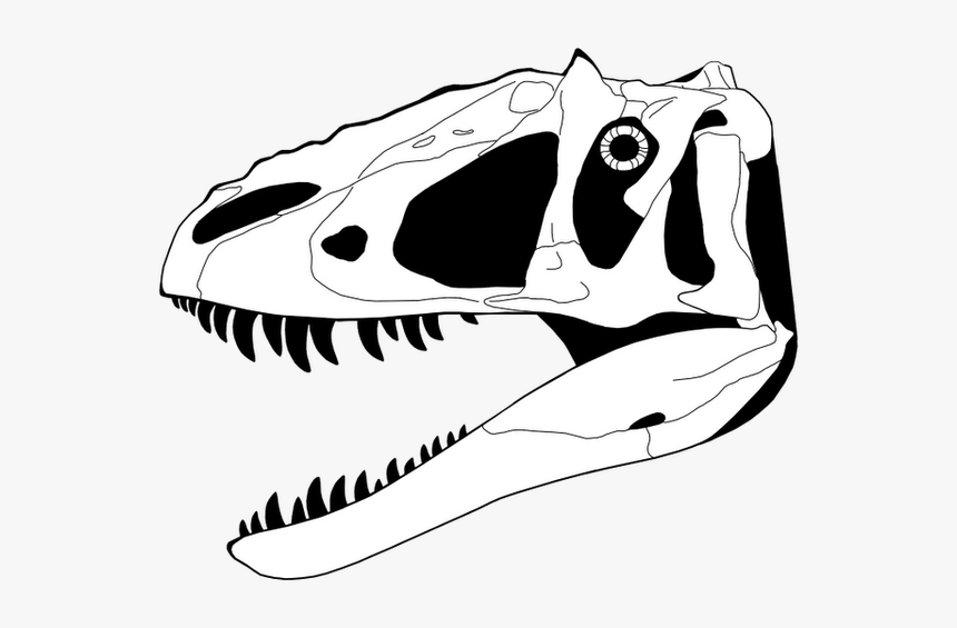 Dinosaur Skull Coloring Page, HD Png Download, Free Download