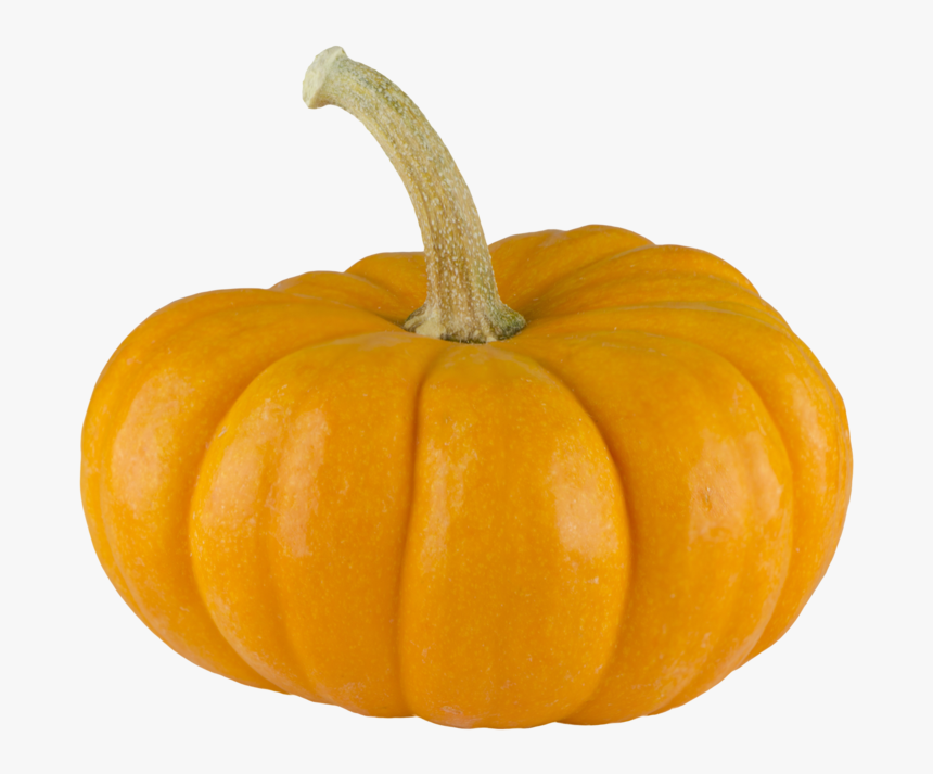 Pumpkin, HD Png Download, Free Download