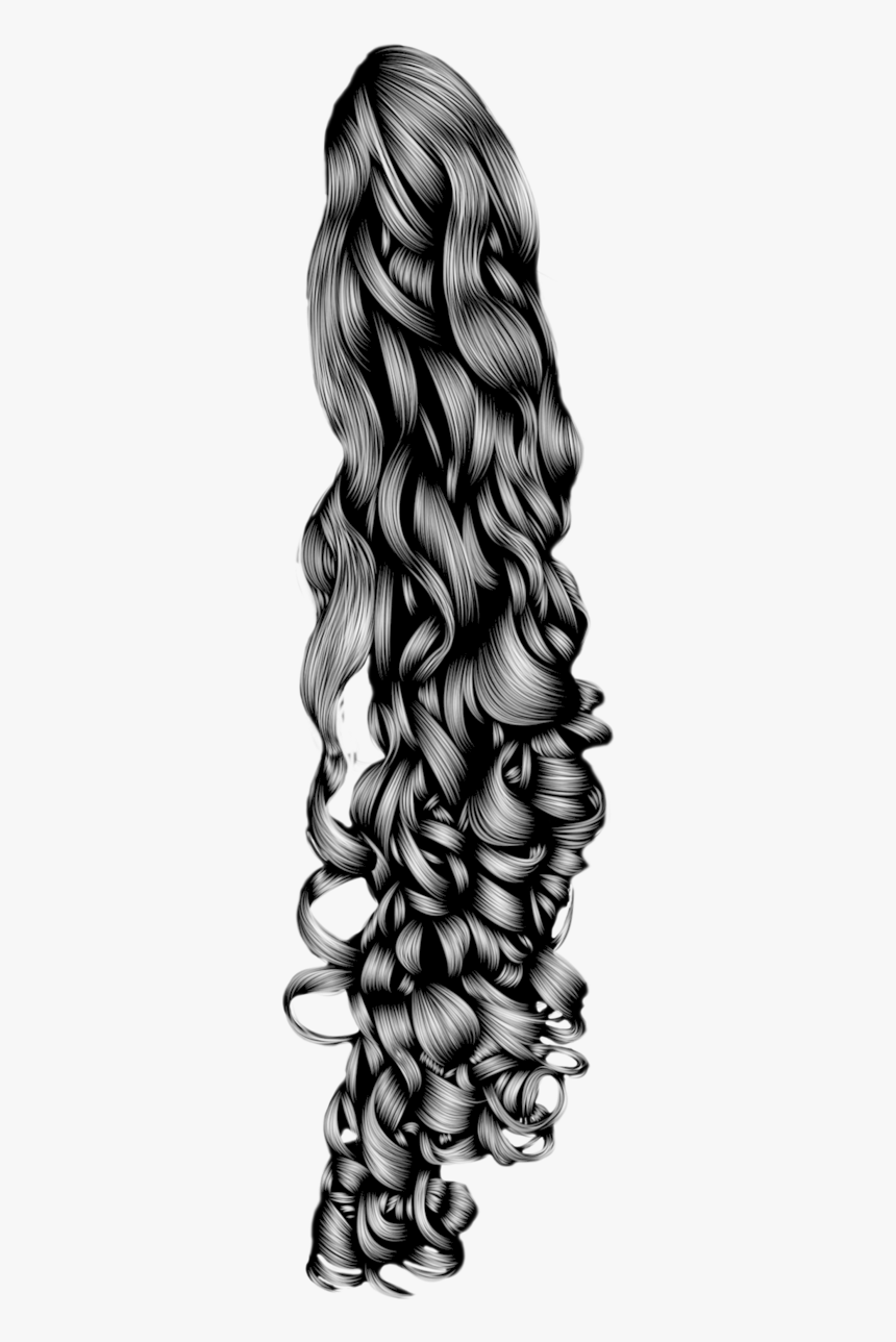 Collection Of Free Ponytail Drawing Wavy Download On Curly Hair Png