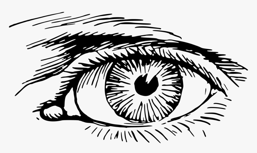 Eye Png, Transparent Png, Free Download