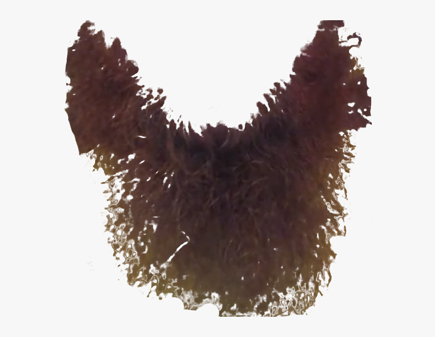 Beard Transparency, HD Png Download, Free Download