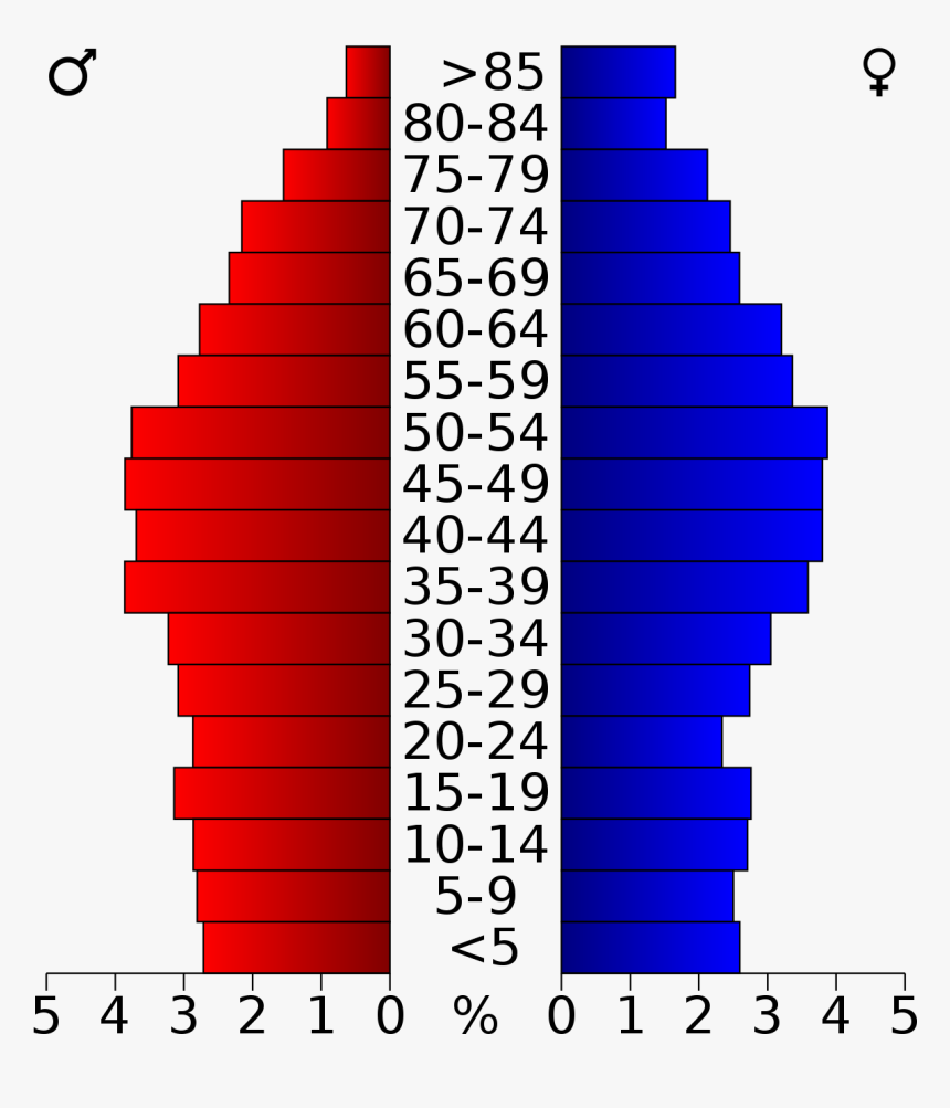 Usa Ashe County, North Carolina Age Pyramid - Boston Massachusetts Population Pyramid, HD Png Download, Free Download