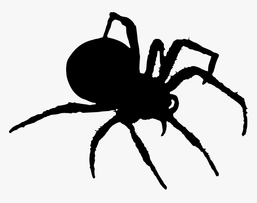 Spider Silhouette Png, Transparent Png, Free Download