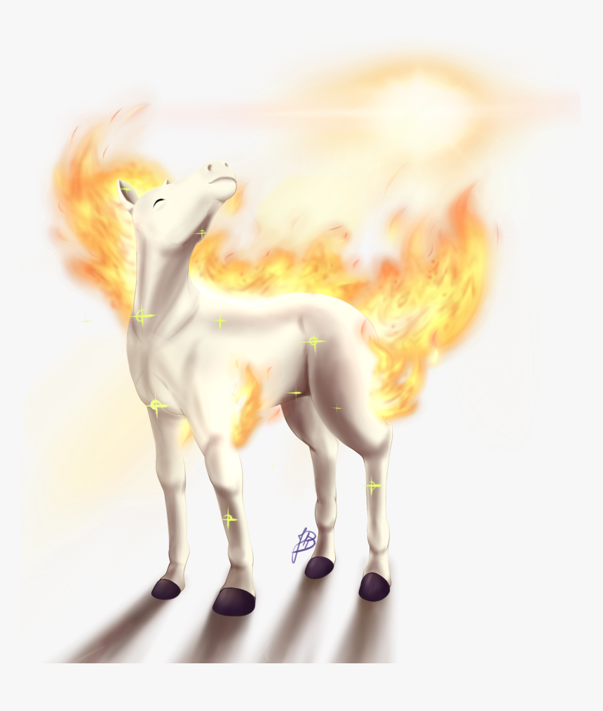 Ponyta Used Morning Sun By Drjhordan - Foal, HD Png Download, Free Download