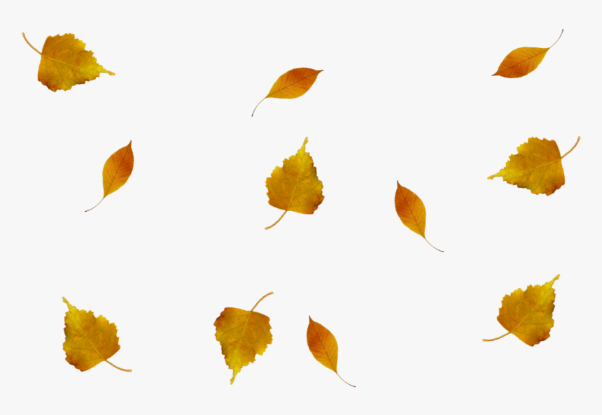 Hojas De Otoño Reales Png, Transparent Png, Free Download