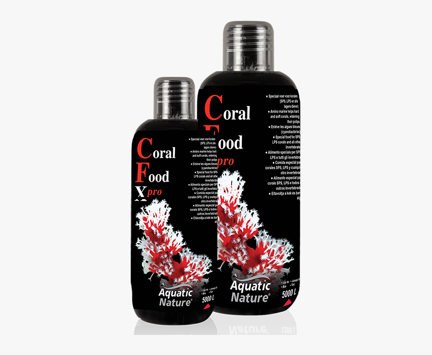 Coral Food - Aquatic Nature, HD Png Download - kindpng