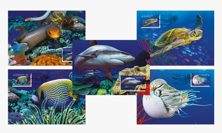 Marine Biology, HD Png Download, Free Download