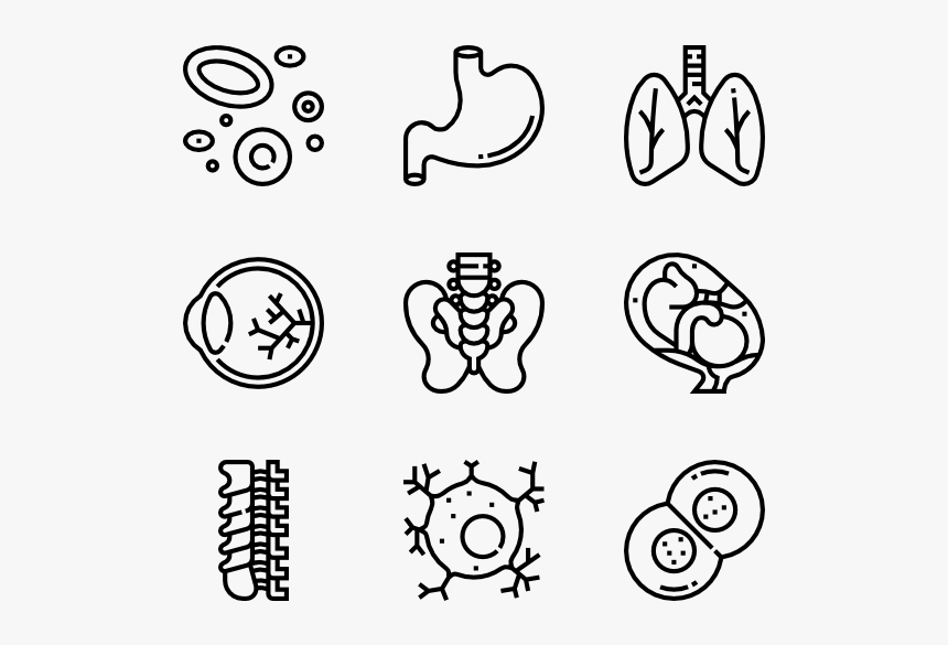 Human Organs - Hand Drawn Icon Png, Transparent Png, Free Download