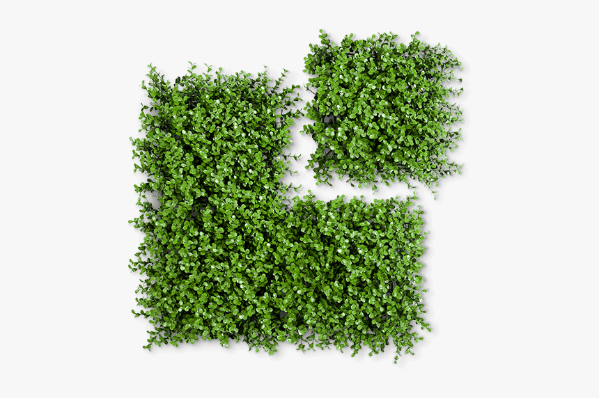 Moss, HD Png Download, Free Download