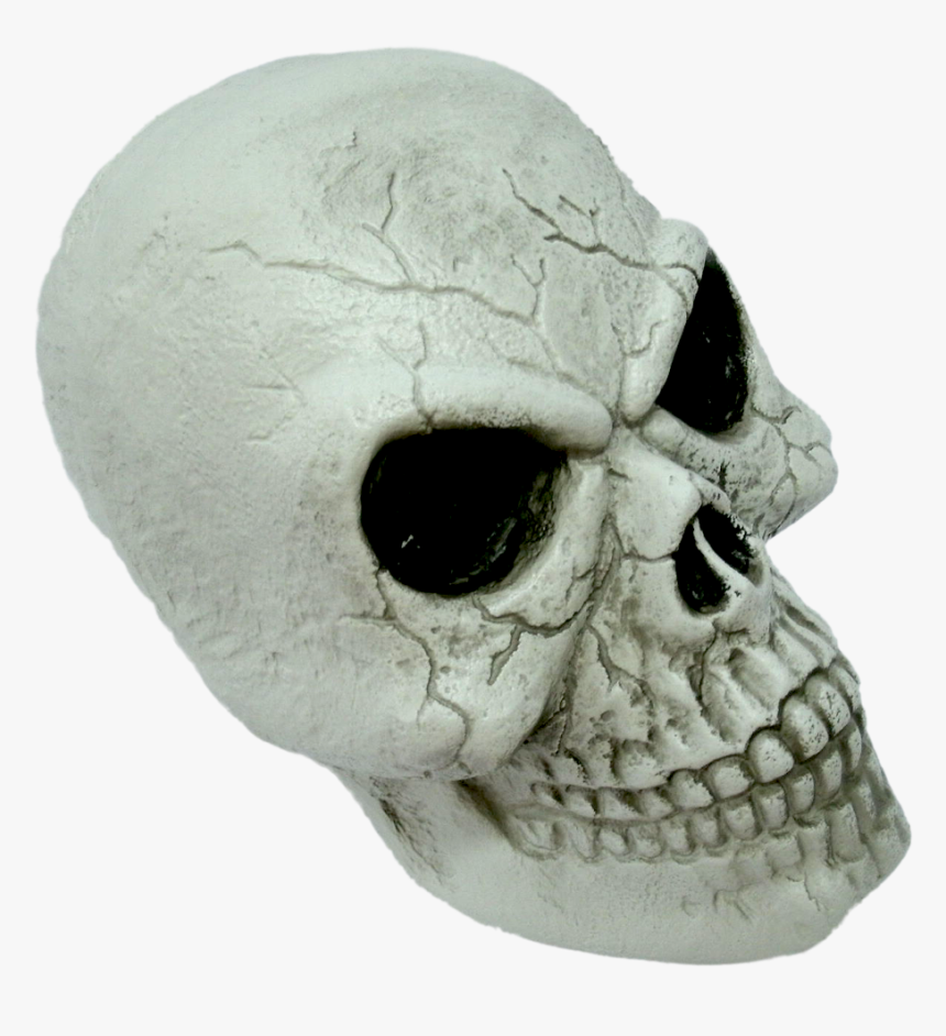 Skull, HD Png Download, Free Download