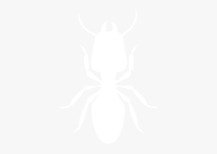 Termite, HD Png Download, Free Download