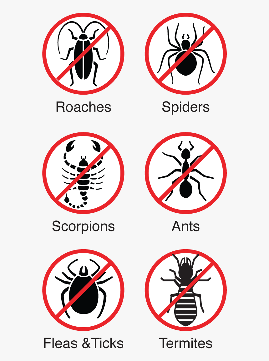 Plus Termite Protection Icons - Illustration, HD Png Download, Free Download