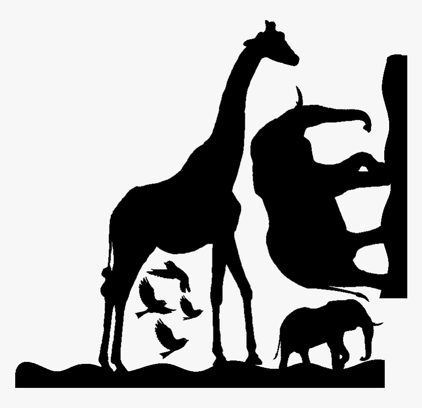 Giraffe Silhouette Mustang Gazelle - Animal Shadow Cut Outs, HD Png Download, Free Download