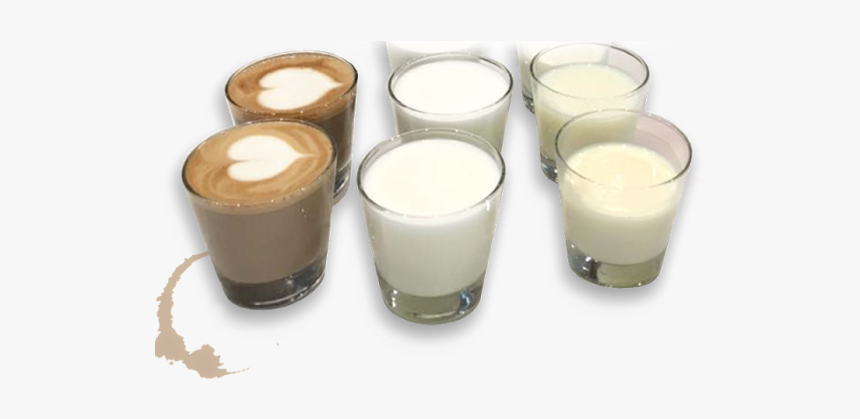 Milk Tasting - Raw Milk, HD Png Download, Free Download