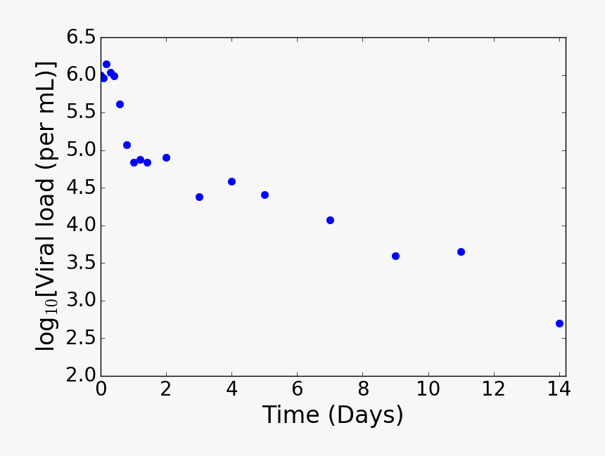 Viral Load For Patient 1e - Ssd Faster Rcnn Yolo, HD Png Download, Free Download