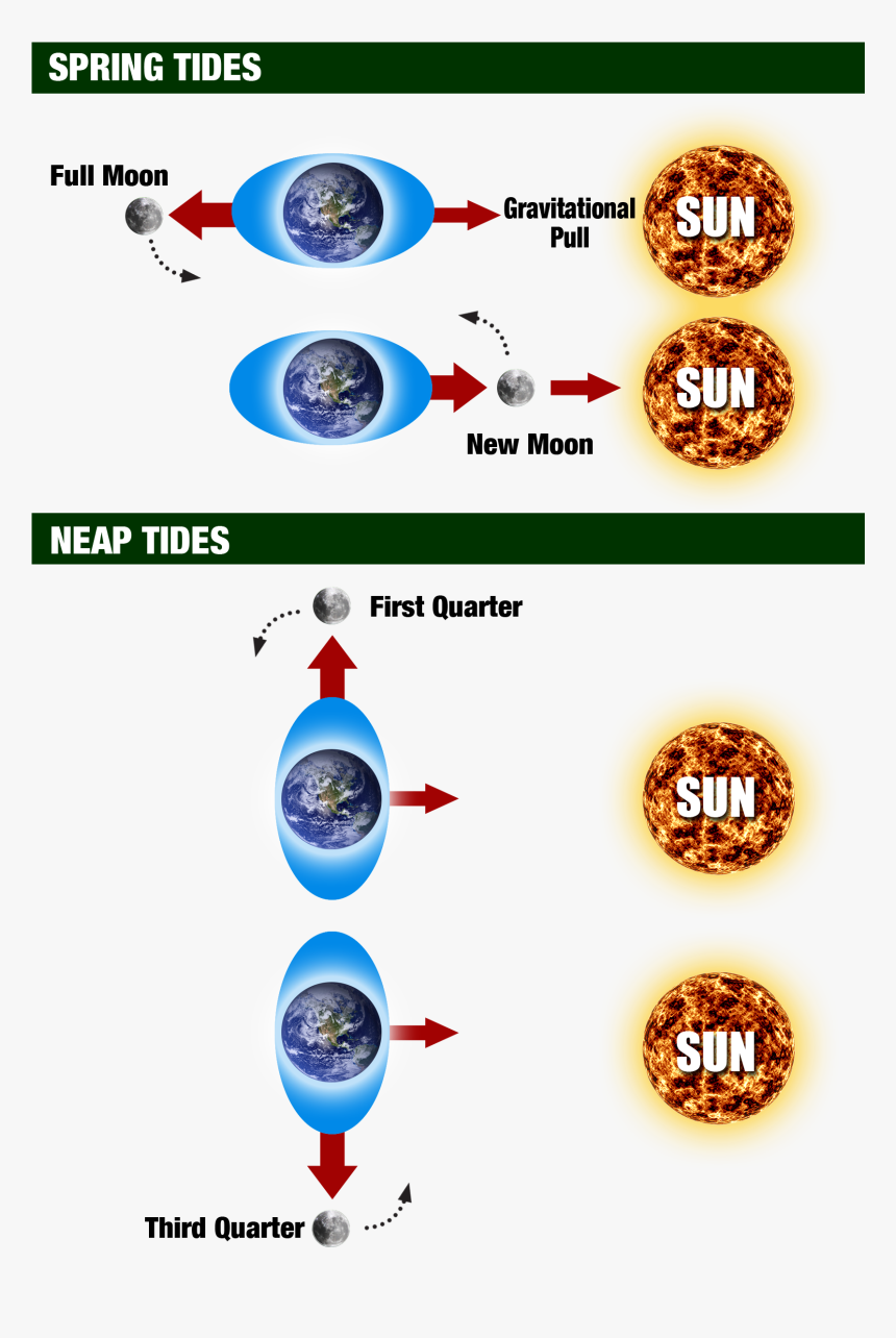 Http - //www - Teara - Govt - Nz/en/ocean Currents - Circle, HD Png Download, Free Download