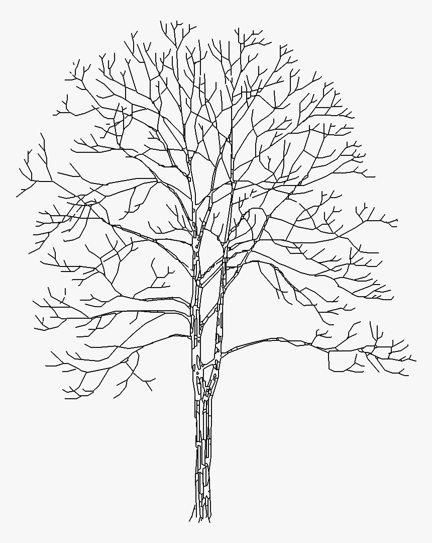 Tree 4153d View"
 Class="mw 100 Mh 100 Pol Align Vertical - Black Trees Elevation Png, Transparent Png, Free Download