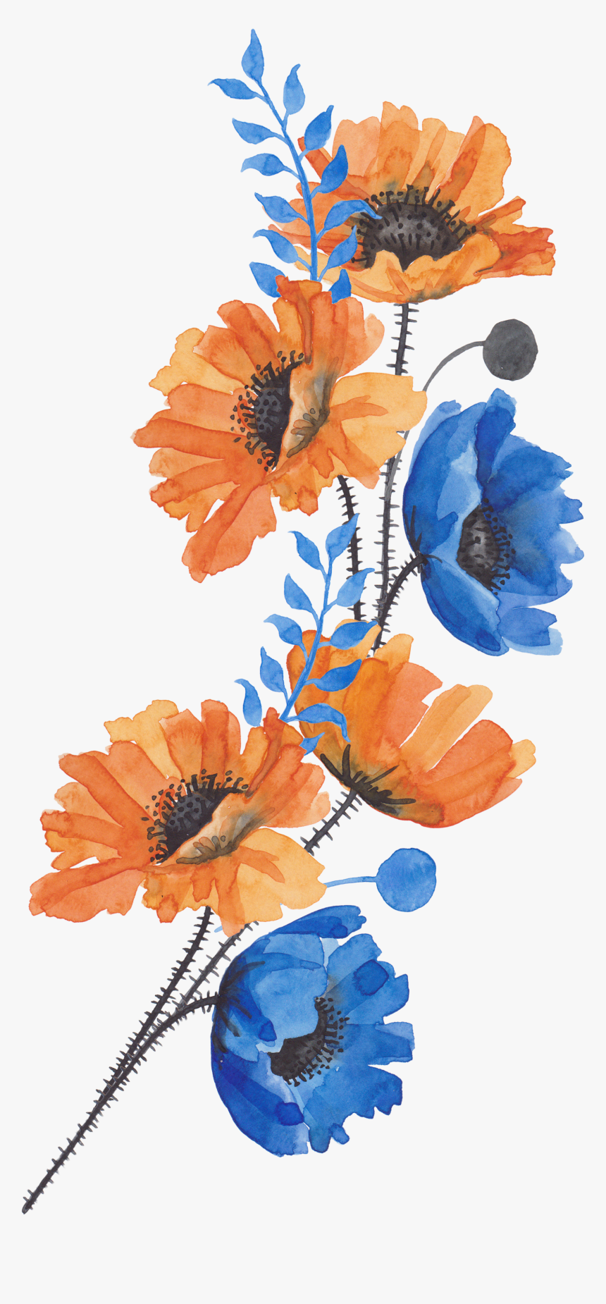 Blue And Orange Flower, HD Png Download, Free Download