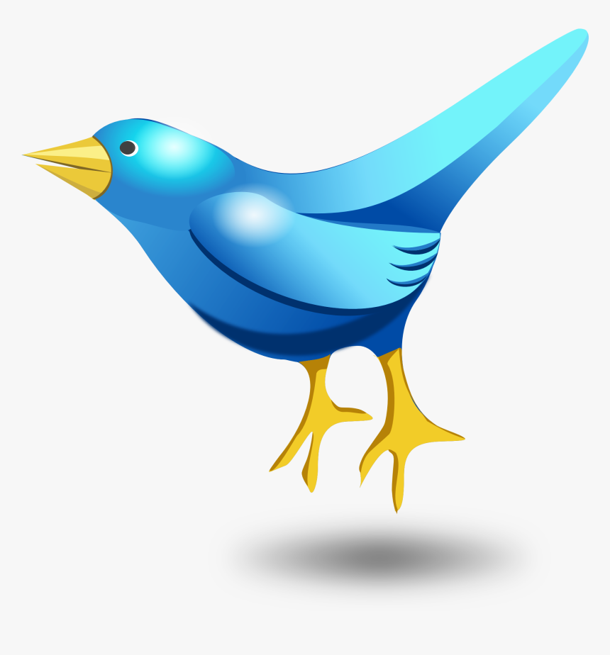 Pngpix - Bird Png Vector, Transparent Png, Free Download