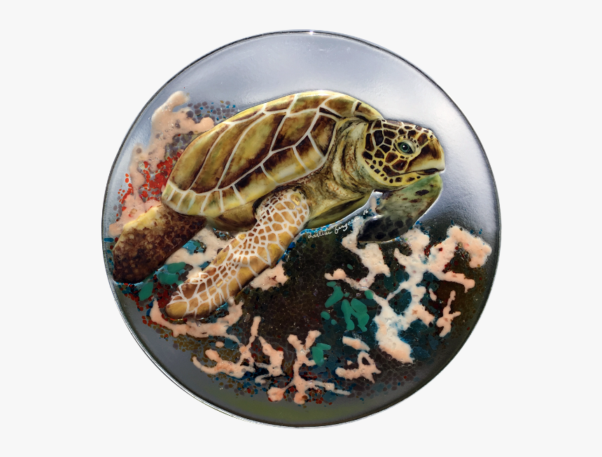 Sea Turtle With Coral In Browns - Kemp's Ridley Sea Turtle, HD Png Download, Free Download