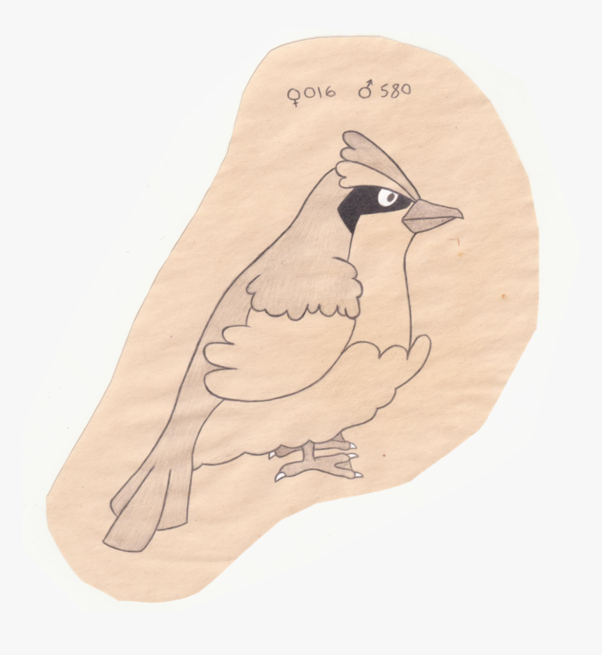 Habitat Drawing Bird, HD Png Download, Free Download