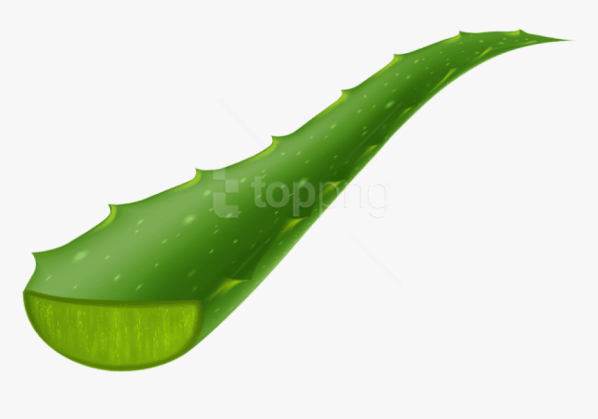 Download Vera Piece Transparent - Transparent Aloe Vera Png, Png Download, Free Download