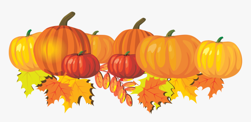 Real Pumpkin Png, Transparent Png, Free Download