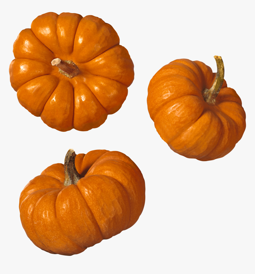 Transparent Background Pumpkins Transparent, HD Png Download, Free Download