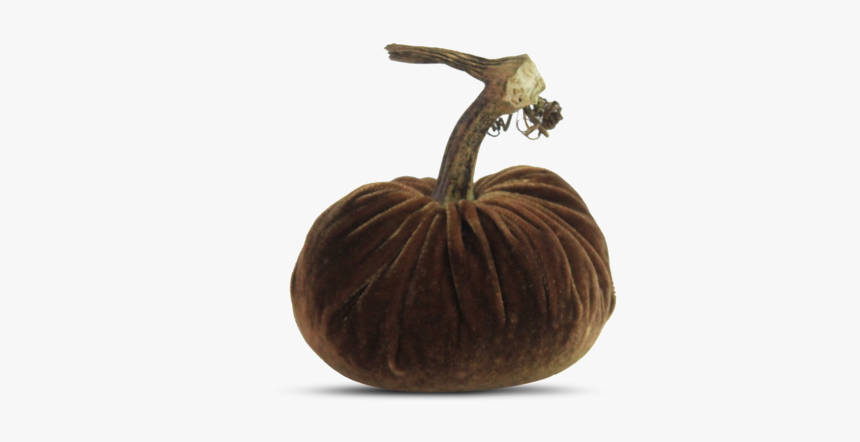 Pumpkin, HD Png Download, Free Download