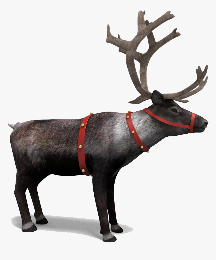 Reindeer Png, Transparent Png, Free Download