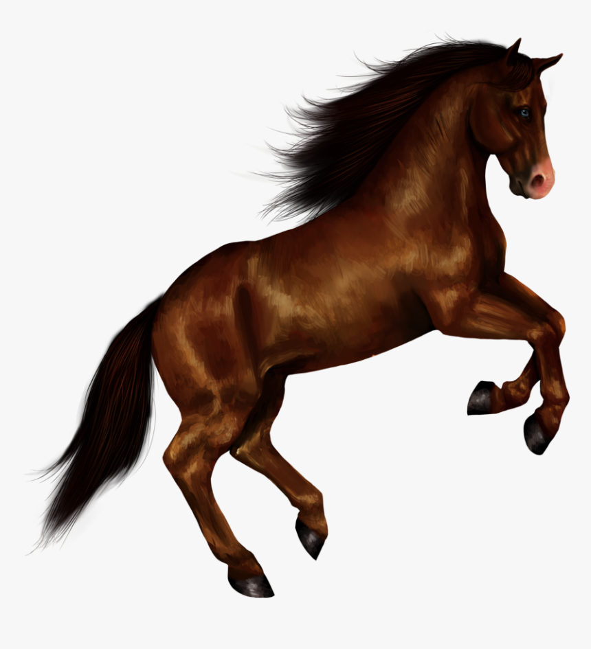 Download Horse Png Transparent Images Transparent Backgrounds - Transparent Background Horse Png, Png Download, Free Download