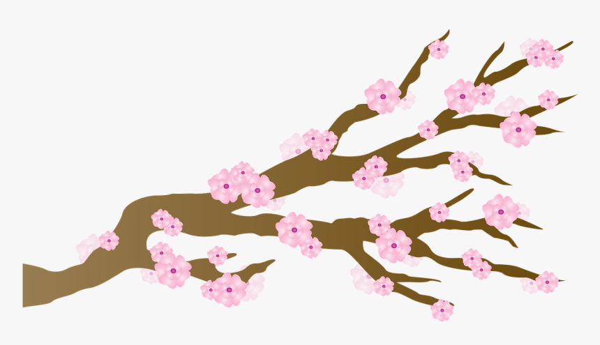 Japanese Cherry Blossom Tree Cartoon, HD Png Download, Free Download