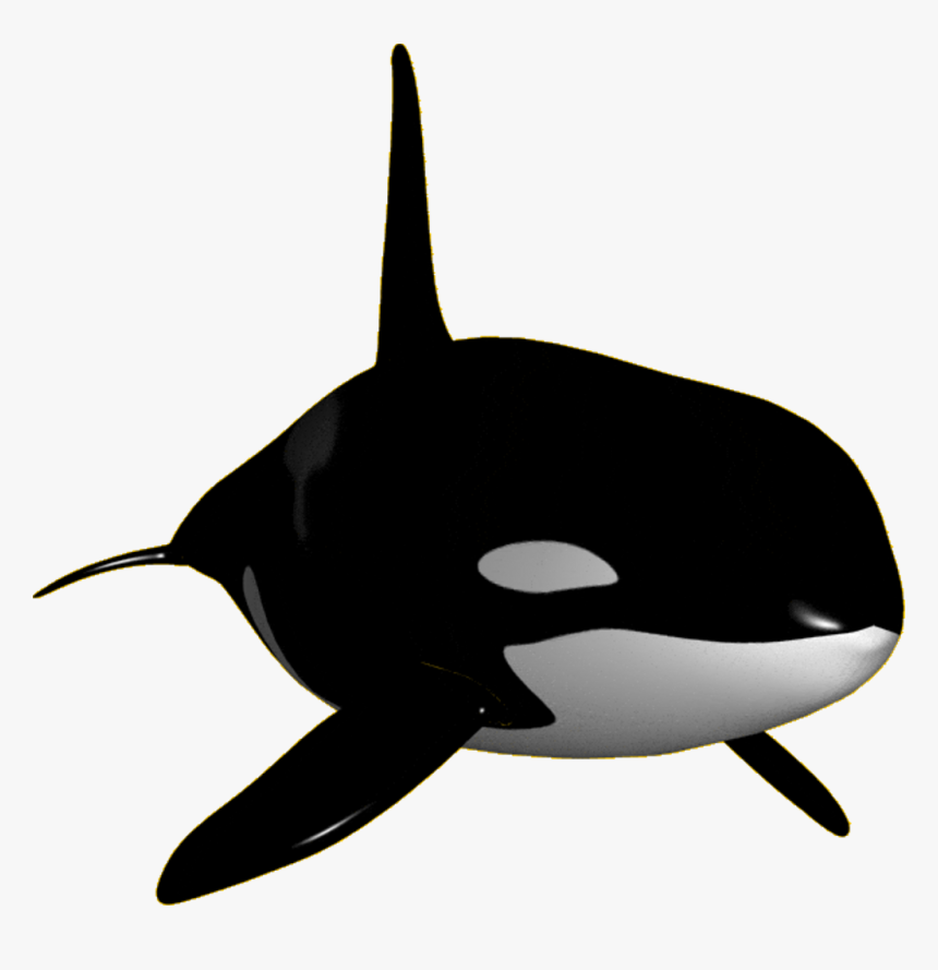 orca clipart