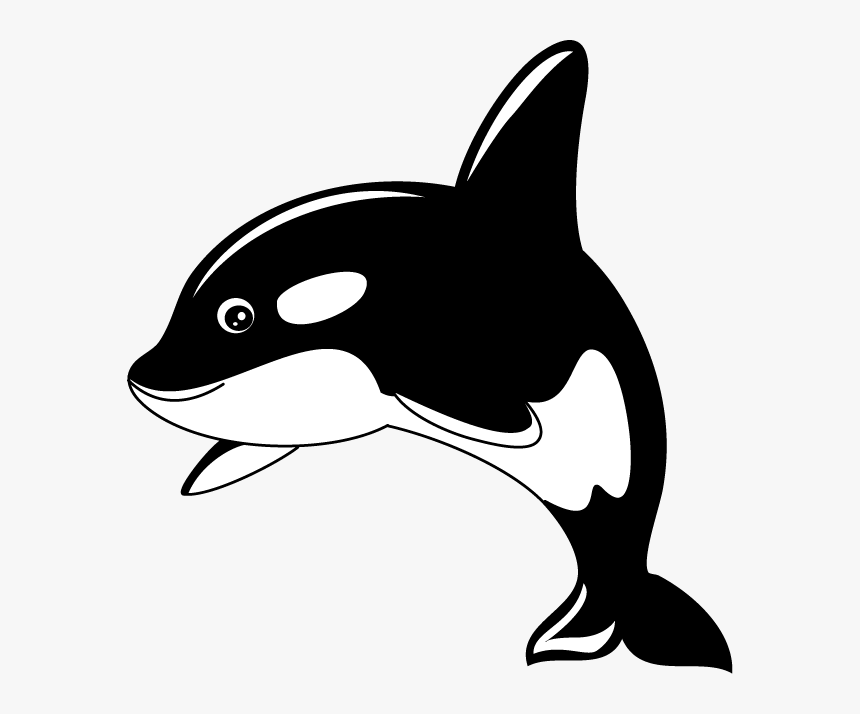 Fountain Clipart Whale - Cartoon Killer Whale Clipart, HD Png Download, Free Download