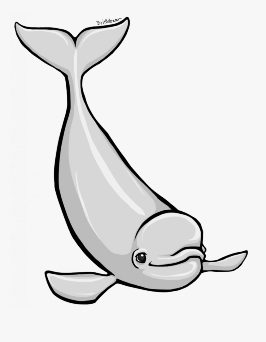 Transparent Cute Whale Png - Beluga Whale Clip Art, Png Download, Free Download