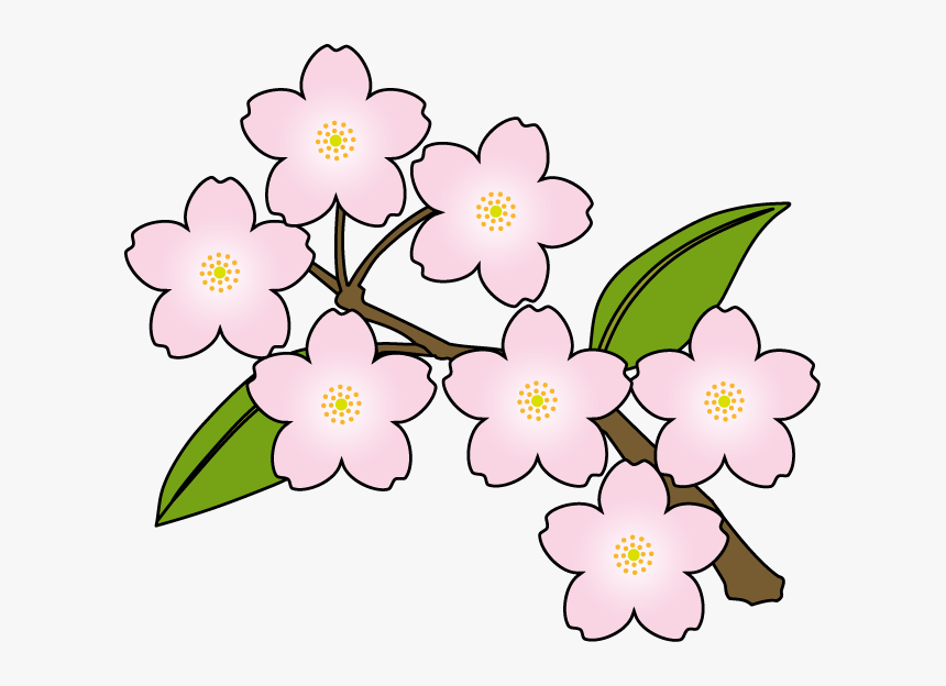 Free Blossom Download Clip - Cherry Blossoms Clip Art, HD Png Download, Free Download